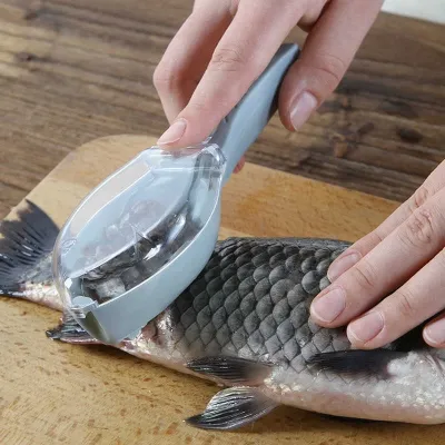 Fish Clean Scales with Cover